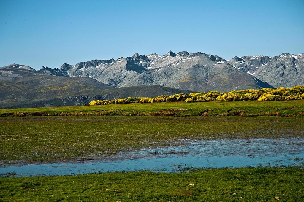 Hotel Rural La Dehesilla Barajas de Gredos ภายนอก รูปภาพ