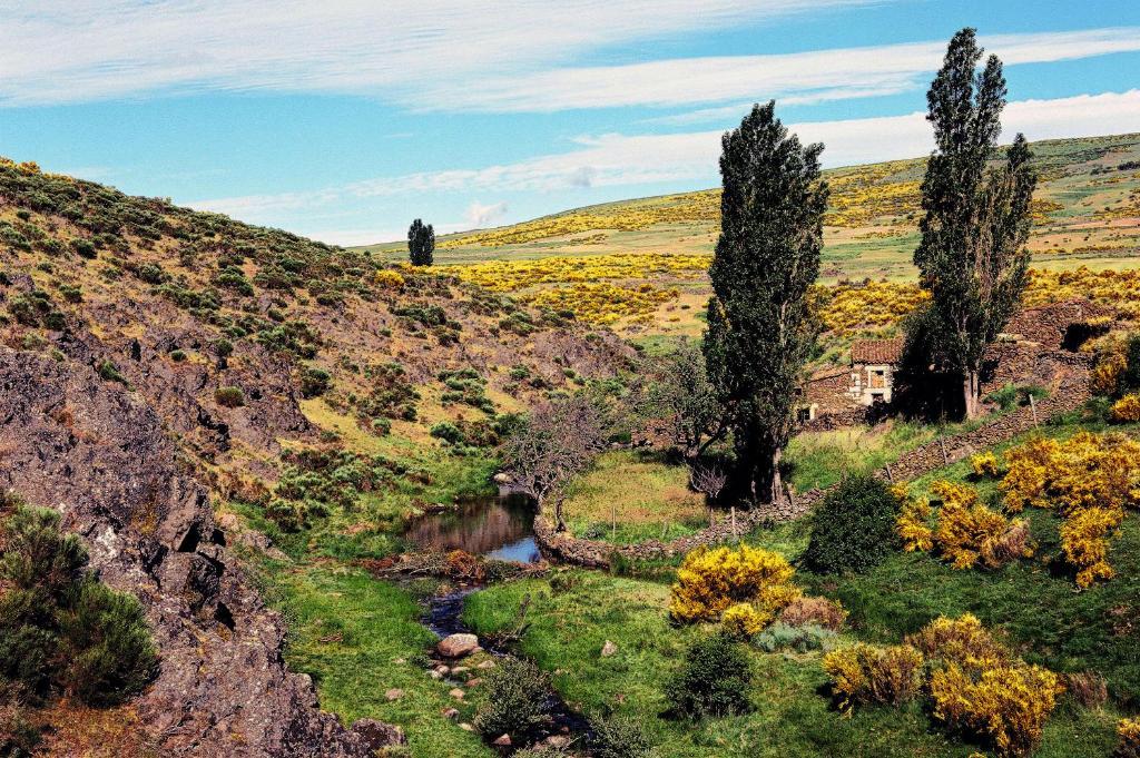Hotel Rural La Dehesilla Barajas de Gredos ภายนอก รูปภาพ